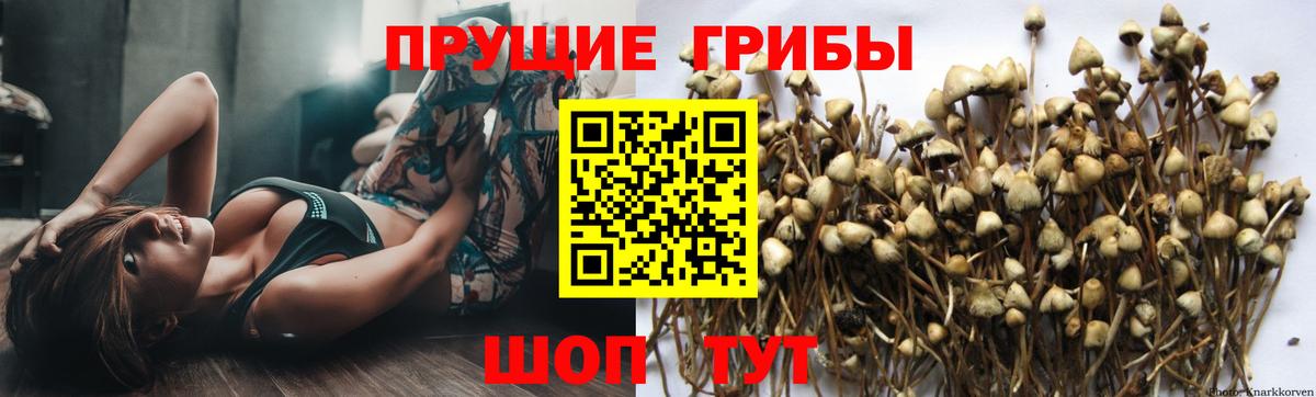 Ялта  Галлюциногенные грибы Cubensis  Псилоцибиновые грибы GOLDEN TEACHER  Вход с VPN 